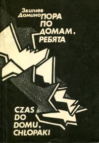 Обложка книги «Пора по домам, ребята»
