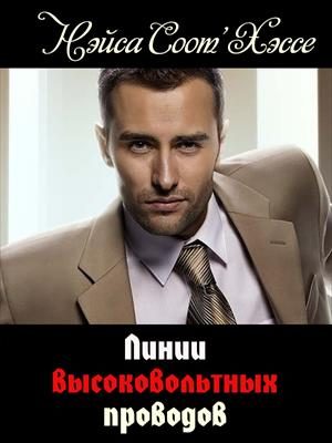 Обложка книги «Линии высоковольтных проводов»