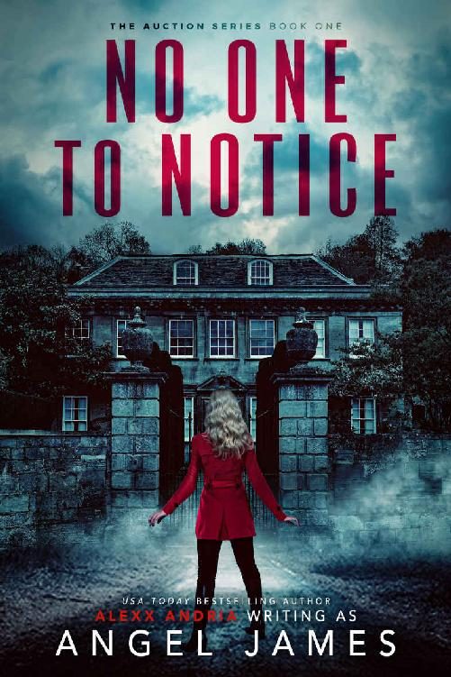 Обложка книги «No One To Notice»