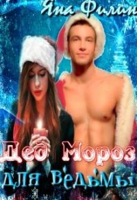 Обложка книги «Дед Мороз для ведьмы»