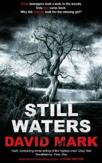 Обложка книги «Still Waters»