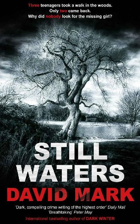 Обложка книги «Still Waters»