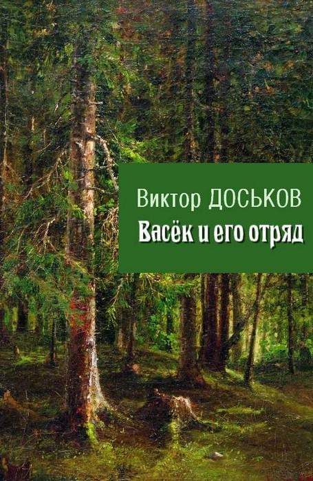 Обложка книги «Васёк и его отряд»