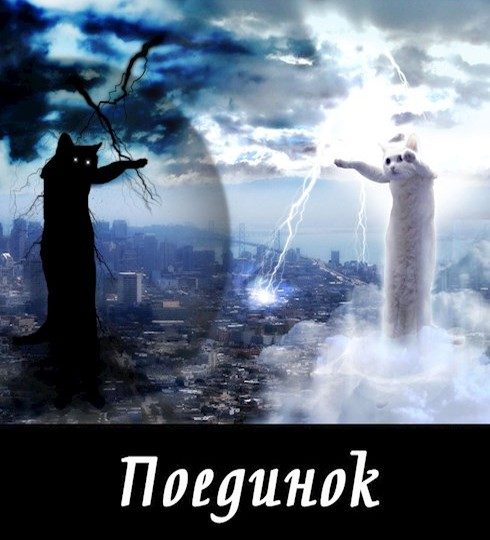Обложка книги «Поединок»