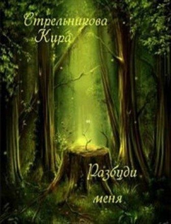 Обложка книги «Разбуди меня (СИ)»