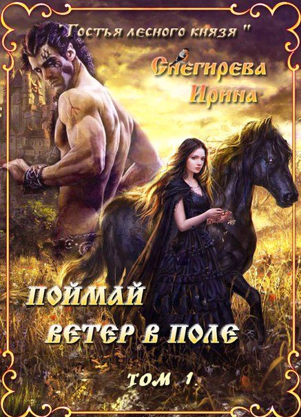 Обложка книги «Поймай ветер в поле. Удержать ветер»