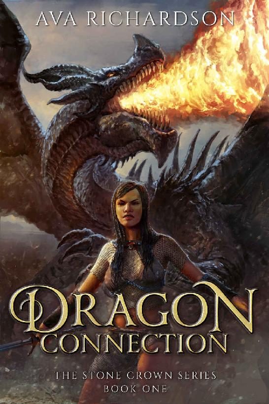 Обложка книги «Dragon Connection»