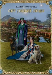 Обложка книги «Свет упавшей звезды»