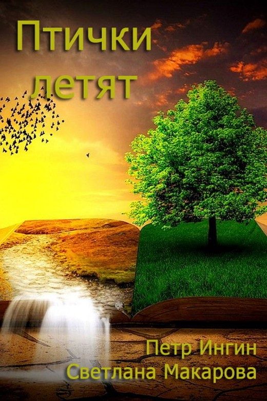 Обложка книги «Птички летят»