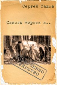 Обложка книги «Сквозь тернии к...»