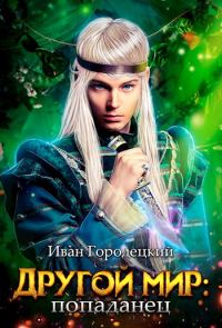 Обложка книги «Попаданец»