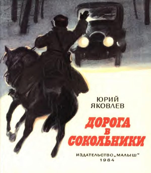 Обложка книги «Дорога в Сокольники»