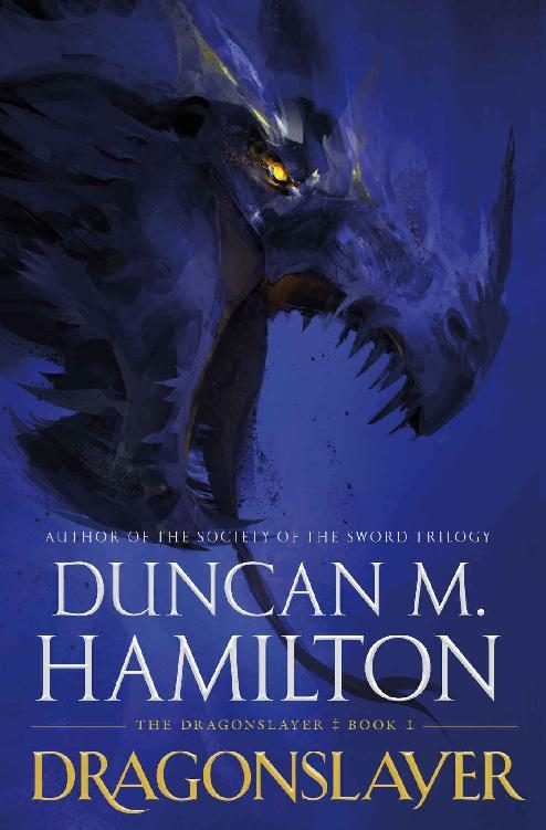 Обложка книги «Dragonslayer»
