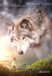 Обложка книги «Второй шанс»