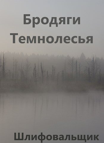 Обложка книги «Бродяги Темнолесья»