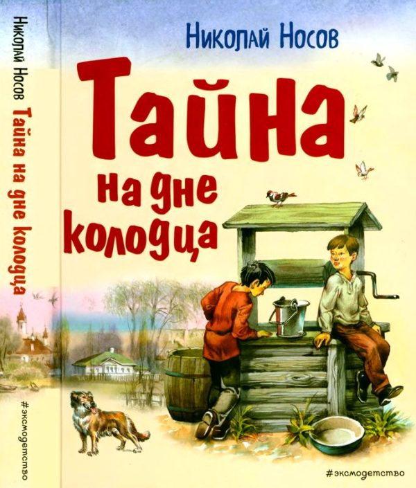 Обложка книги «Тайна на дне колодца»