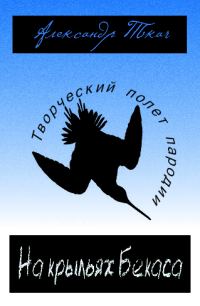 Обложка книги «На крыльях Бекаса»
