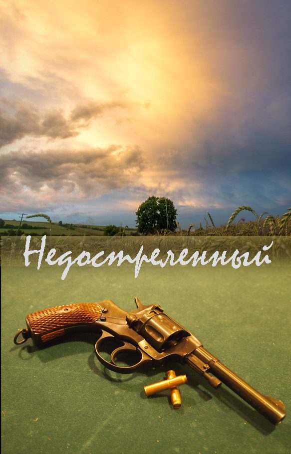 Обложка книги «Недостреленный»
