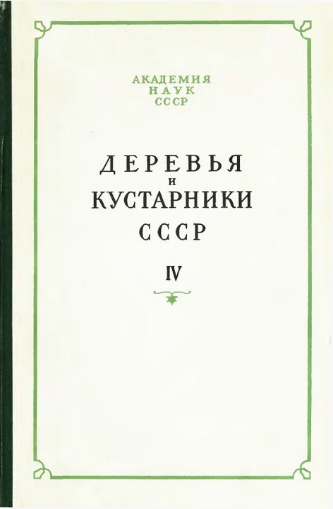 Обложка книги «Деревья и кустарники СССР. Дикорастущие, культивируемые и перспективные для интродукции. IV»