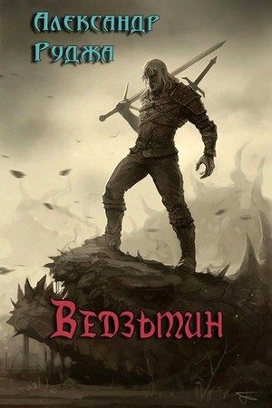 Обложка книги «Ведзьмин»