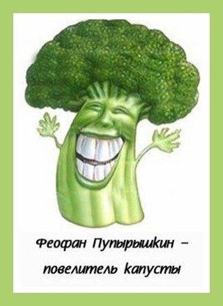 Обложка книги «Феофан Пупырышкин - повелитель капусты»