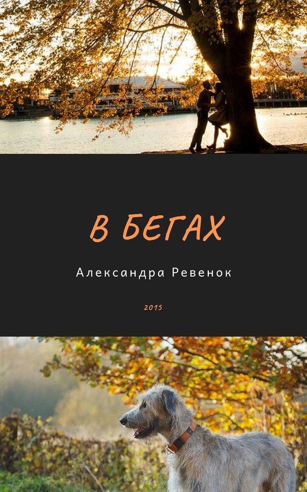 Обложка книги «В бегах (СИ)»