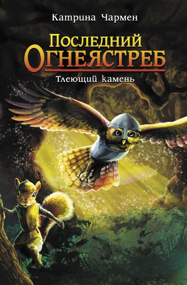 Обложка книги «Тлеющий камень»