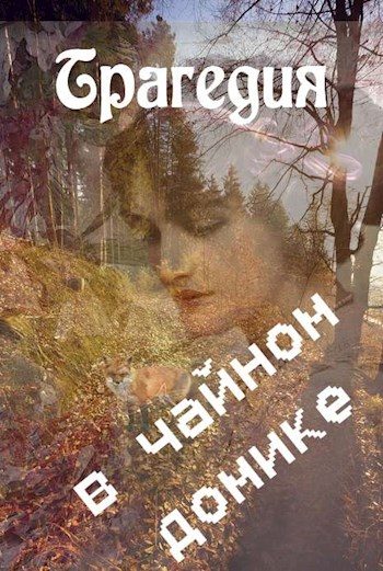 Обложка книги «Трагедия в чайном домике [СИ]»
