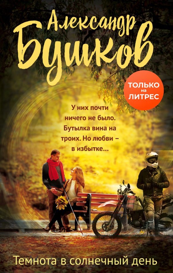 Обложка книги «Темнота в солнечный день»