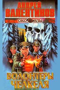 Обложка книги «Волонтёры Челкеля»