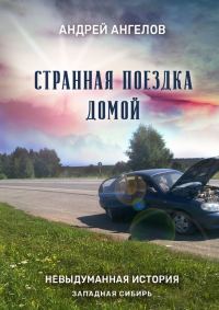 Обложка книги «Странная поездка домой»