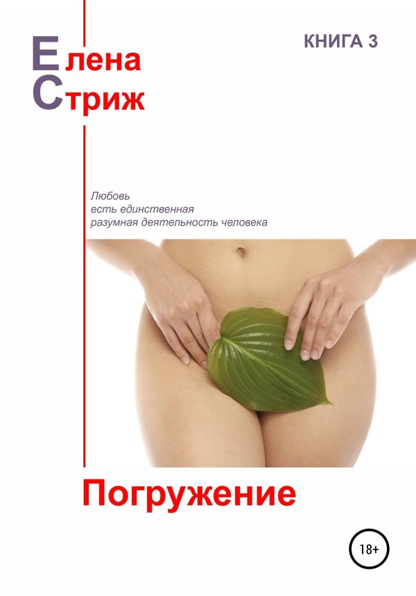 Обложка книги «Погружение»