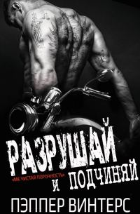 Обложка книги «Разрушай и подчиняй»
