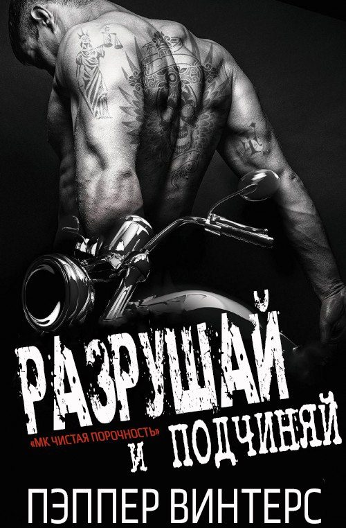 Обложка книги «Разрушай и подчиняй»