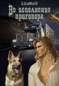 Обложка книги «Во исполнение приговора»