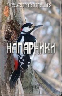 Обложка книги «Напарники»