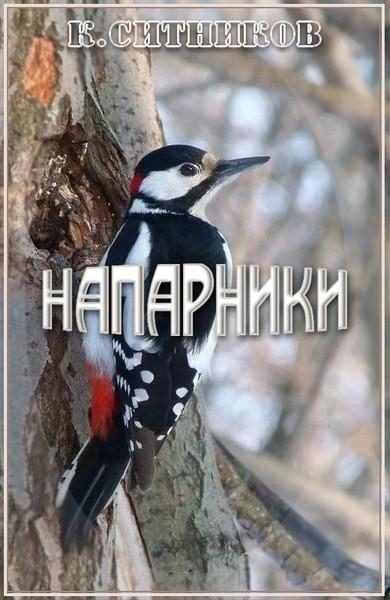 Обложка книги «Напарники»
