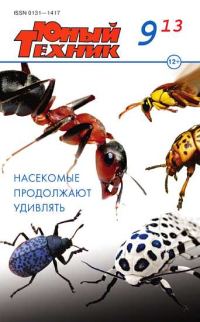 Обложка книги «Юный техник, 2013 № 09»