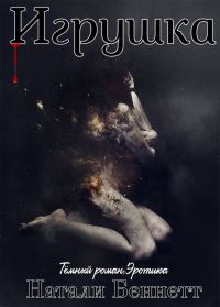 Обложка книги «Игрушка»