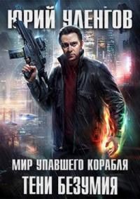 Обложка книги «Тени безумия»