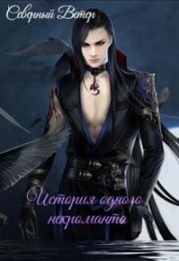 Обложка книги «История одного некроманта»