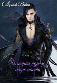 Обложка книги «История одного некроманта»