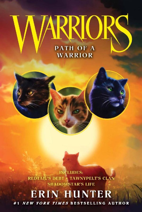 Обложка книги «Path Of A Warrior»