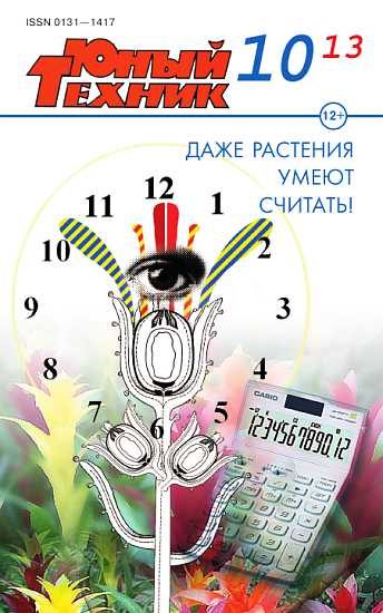 Обложка книги «Юный техник, 2013 № 10»