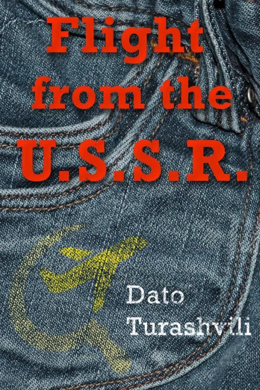 Обложка книги «Flight from the USSR»