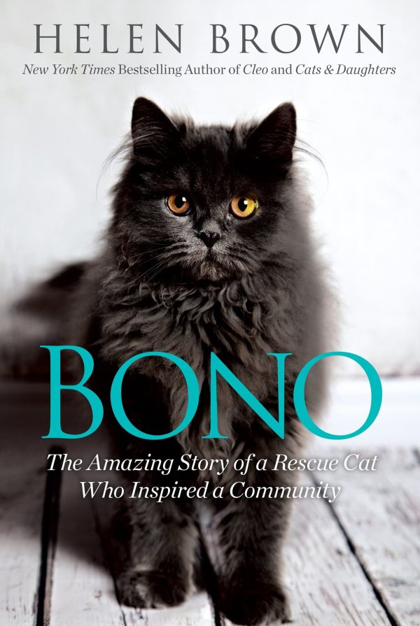 Обложка книги «Bono»