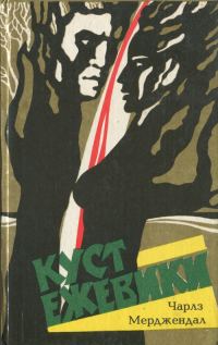 Обложка книги «Куст ежевики»