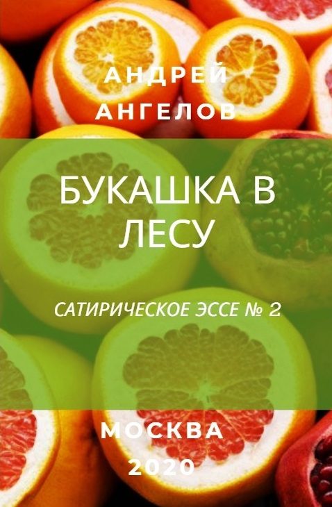 Обложка книги «Букашка в лесу»