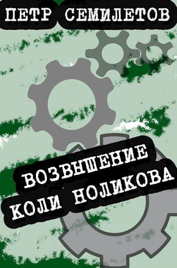 Обложка книги «Возвышение Коли Ноликова»