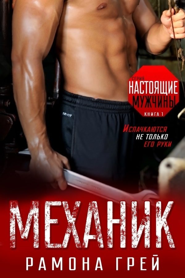 Обложка книги «Механик»